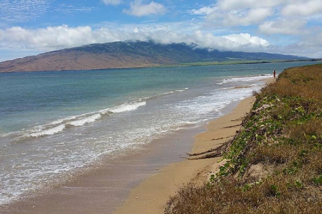 Oceanfront Penthouse With Amazing Views At Kauhale Makai Διαμέρισμα Kihei Εξωτερικό φωτογραφία