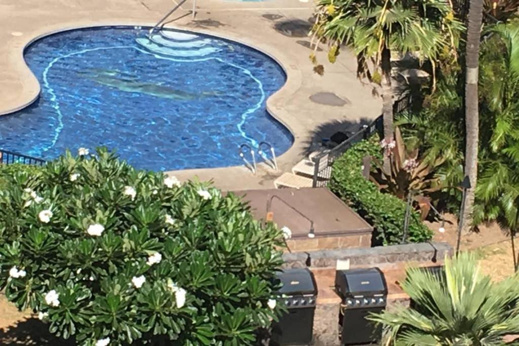 Oceanfront Penthouse With Amazing Views At Kauhale Makai Διαμέρισμα Kihei Εξωτερικό φωτογραφία