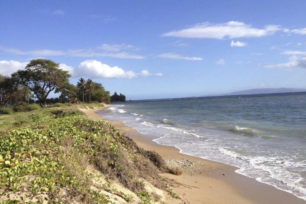 Oceanfront Penthouse With Amazing Views At Kauhale Makai Διαμέρισμα Kihei Εξωτερικό φωτογραφία